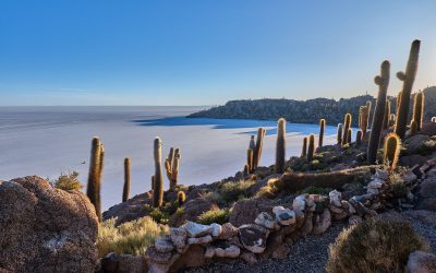 Lagune rosse e deserti di sale: il volto surreale dell’Altiplano boliviano