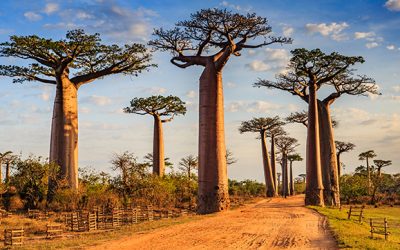 Estate africana: natura primordiale e culture profonde