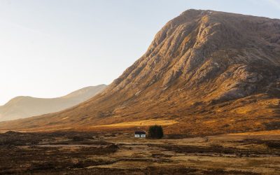 Il rewilding delle Highlands scozzesi: foreste, lupi e il ritorno alla natura originaria