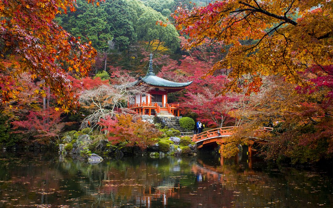 Autunno in Giappone, ​dove e quando ammirare il foliage dalle vette dell’Hokkaido a Kyoto: la guida completa