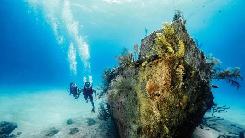Tra civiltà sommerse e antichi relitti: quando il viaggio di scoperta è sott’acqua